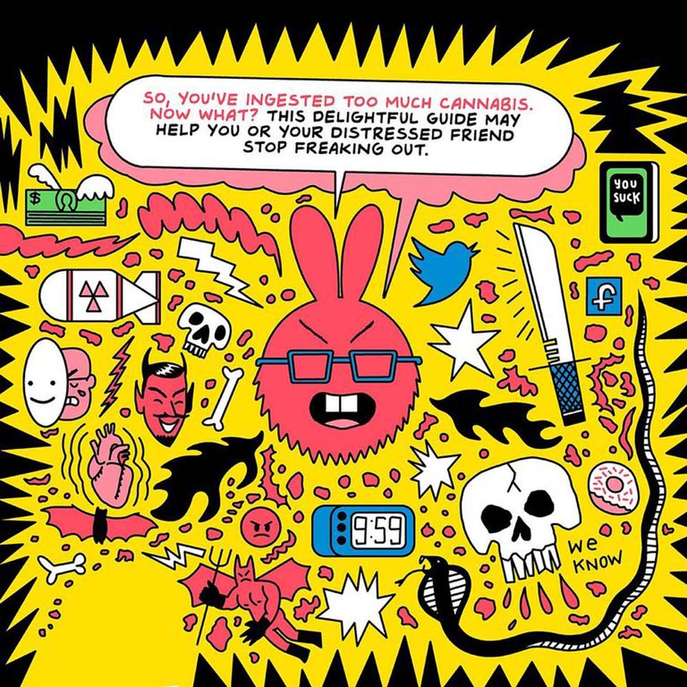 Are You Too High? Storybook  *